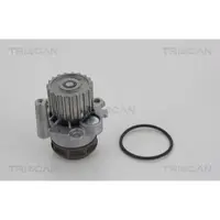 TRISCAN 8600 10072 Waterpomp