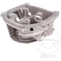 101 Octane Bt13851 Cilinderkop