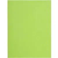 Exacompta Flash Dossiermap A4 Groen Manila 100% gerecycled 220 g/m² 500 Stuks