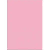 Folia - Fotokarton Folia 2zijdig 50x70cm 300gr nr26 lichtroze | 10 stuks