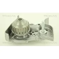 TRISCAN 8600 25009 Waterpomp