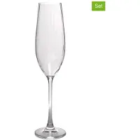 Salt & pepper Champagneglas Saga Transparent 290 ml (Set van 4)