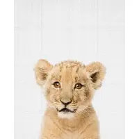 IXXI Baby lion - Brown eyes, Lila + Lola - 80 x 100 cm - Grote wanddecoratie en posters - Naturalisme, Realisme, Fotografie, Digitale Kunst