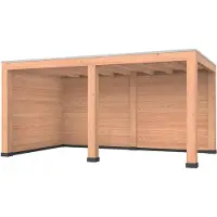 Westwood Douglas overkapping, 500 x 300, met achterwand en zijwand, Modern Plus