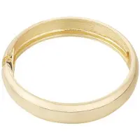 Yehwang Bangle armband goud | Basic bangle | Statement armband | Gouden armband | Roestvrijstaal | Verkleurt niet | Dames sieraden | Cadeau | Sint | Kerst | Valentijn