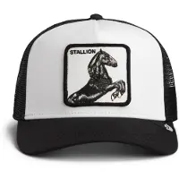 GOORIN BROS. Pet 'Gorra goorin bros negra/blanca caballo stallion' zwart