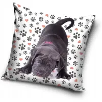 Carbotex Honden Kussenhoes 40x40 cm - Leuke Pootjes Print
