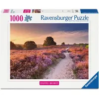 Ravensburger puzzel roze pad 1000 stukjes |