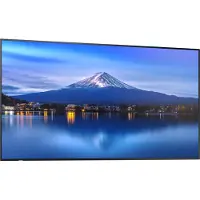 Sharp 60005911 PN-P436 43" P-Series Large Format Display UHD 700cd/m2 D-LED backlight 24/7 proof SDM Slot CM-Slot