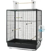 Nobby vogelkooi primo 60 open empire zwart 80x50x95 cm