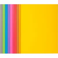 Exacompta Rock's 210 inlegmap A4 assorti (100 stuks)