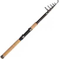 Dam Backbone Ii Tele Carpfishing Rod Goud 3.00 m / 60-160 g