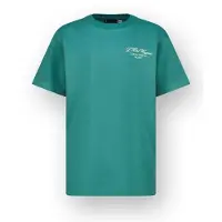 Vingino T-shirt met backprint groen Jongens Katoen Ronde hals Backprint - maat 140