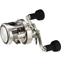 Daiwa Ryoga 26 150 Baitcasting Reel Zilver Ratio 7.3:1