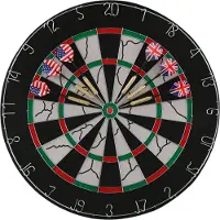 Lifetime Dartbord Deluxe met Pijlen 45cm