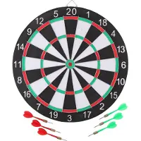 Huismerk Premium Dartbord Met 6 Pijltjes - 41 cm