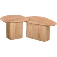 Giga Meubel Salontafel Jinte Naturel Set van 2