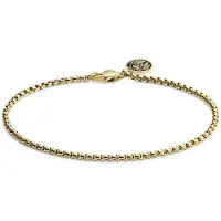 Lucleon Essentials | 2 mm Goudkleurige Armband met Gebogen Venetiaanse Schakels