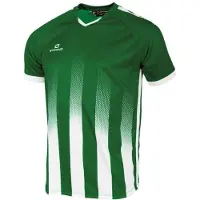 Stanno Vivid Shirt Groen | Maat 176