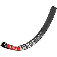 Dt Swiss Xr 391 Disc Velg
