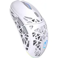Endorfy Gamingmuis - - LIV Plus - Draadloos - 26000 DPI - RGB-verlichting