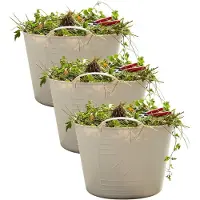 Excellent houseware Flexibele kuip / emmer - 3x - beige - 15 liter - kunststof - 35 x 28 cm