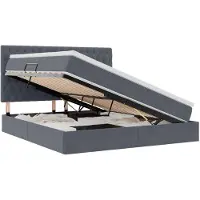 vidaXL Opslag bed met matras Donkergrijs 160 x 200 cm Fluweel