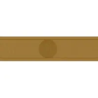 AS-Creation GRIEKSE BEHANGRAND - Goud Metallic - AS Creation Only Borders