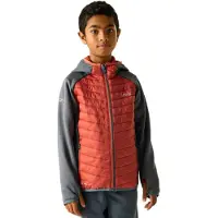 Regatta - Kid's Junior Andreson Hybrid - Hybride jas 14 Years, rood