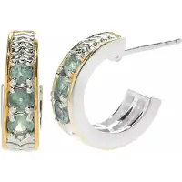 Cavill - 925 Sterling Zilver Oorbellen met 0,68 ct Braziliaanse Alexandriet - Palladium - 15 mm Ronde Oorstekers - Elegant & Tijdloos