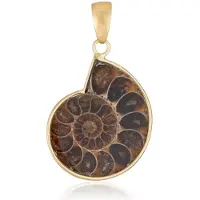 Cavill - 22 Karaat Goud Ammoniet Hanger - 925 Sterling Zilver Verguld - Spiraalvormig Fossiel - Natuurlijk & Elegant - 40x23 mm