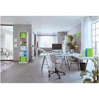 Leitz WOW Cube Ladenblok Met 4 Laden - Opberger met Vakken - Voor Kantoor En Thuiswerken - Ideaal Voor Thuiskantoor - Wit/Groen