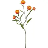 Emerald Xerochrysum spray orange 70 cm kunstplant