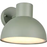 TRIO ELBE - Wandlamp - Groen - excl. 1x E27 4,9 W - Wandmontage - Buitenverlichting - IP44
