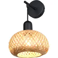 TRIO Hangende wandlamp Leonie Ø 18cm