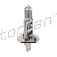Topran 109 100 Gloeilamp, verstraler