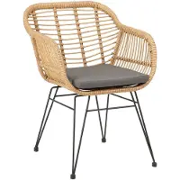 Idimex Eetkamerstoel PARAMO gemaakt van polyrattan - moderne tuinstoel in rotanlook, keukenstoel met zitkussen, rieten stoel met stevig metalen frame - belangrijkste afbeelding