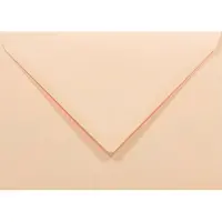 Netuno Gladde zalmkleurige enveloppen C6 - 114 x 162 mm - A6 - 50 stuks - NK natgelijmde - 80 gram - Rainbow -