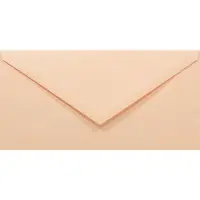 Netuno Gladde zalmkleurige enveloppen DL - 110 x 220 mm - 50 stuks - NK natgelijmde - 80 gram - Rainbow -
