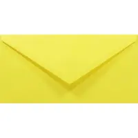 Netuno Gladde gele enveloppen DL - 110 x 220 mm - 50 stuks - NK natgelijmde - 80 gram - Rainbow -