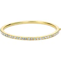 Ted Baker Armband goud / transparant