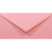 Netuno Gladde roze enveloppen DL - 110 x 220 mm - 50 stuks - NK natgelijmde - 80 gram - Rainbow -