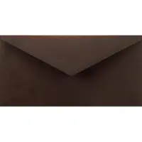 Netuno Gladde bruine enveloppen DL - 110 x 220 mm - 25 stuks - NK natgelijmde - 115 gram - Sirio Color -