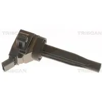 TRISCAN 8860 43061 Bobine