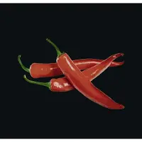 Wenko Hot Peperoni