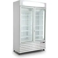 Saro G 885 - Geforceerd - Glasdeurkoeler - 2 Klapdeuren - All White - 453-10081