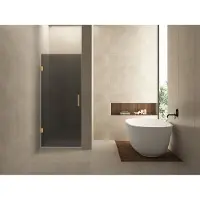 Wiesbaden Nisdeur less 80x200 cm 8 mm nano rookglas geborsteld messing