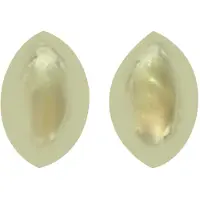 Cavill - Gouden oorbellen 9K Geelgoud - 0,7g amandelvormige minimalistische oorstekers 12mm - Gepolijst elegant dames sieraad