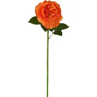 J-Line roos Echt Gevoel - kunststof - oranje - 4 stuks