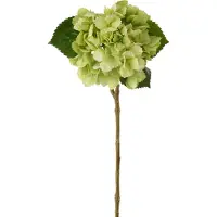 J-Line hortensia Echt Gevoel - kunststof - groen - 4 stuks
